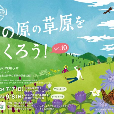 峰の原の草原をつくろう2024_1