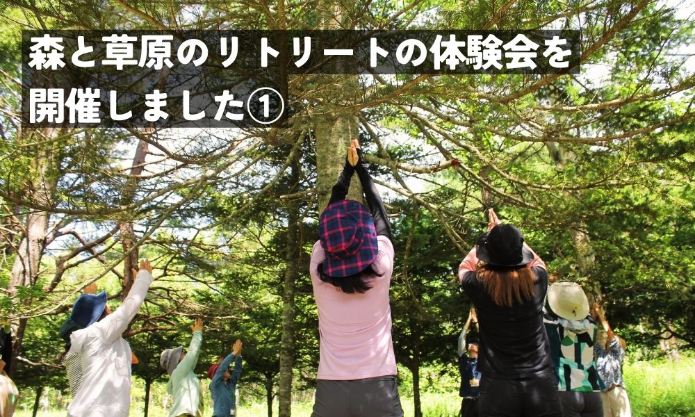 森と草原のリトリートの体験会開催①