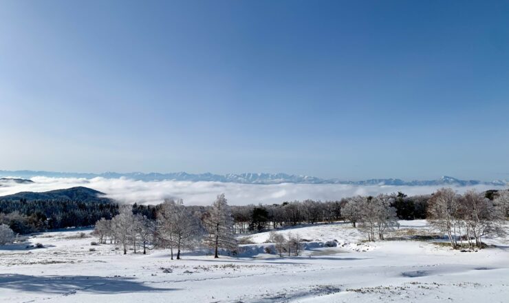 峰の原高原_winter_2025